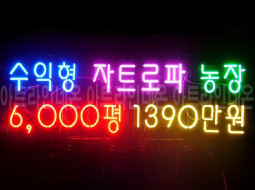 *R 12 (자트로파 농장)