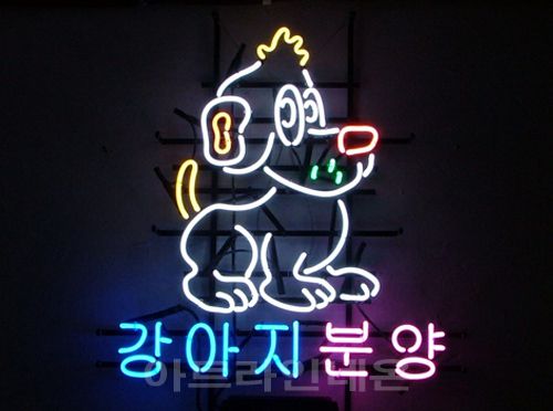 *C36 (강아지 분양)