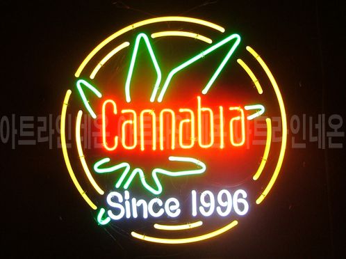 *B294 (cannabia)