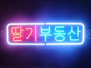 ♡ 서울 **고객님의 " 딸기 부동산 " 완성품 입니다. (배송완료)