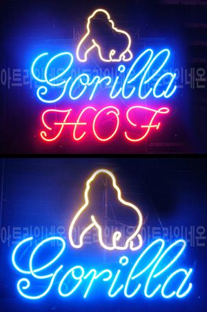 ♡ 서울 **고객님의 " 고릴라 " 완성품 입니다. (배송완료)