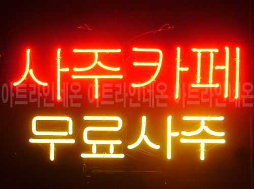 *B266 (사주＆타로)