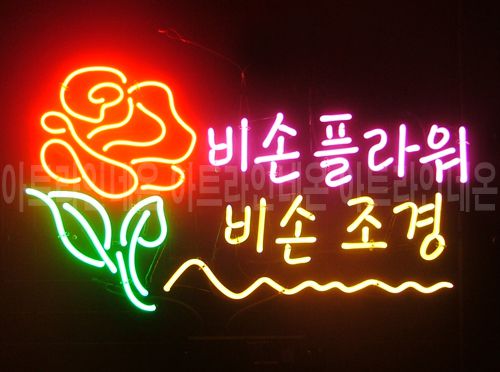 *C91 (비손플라워)